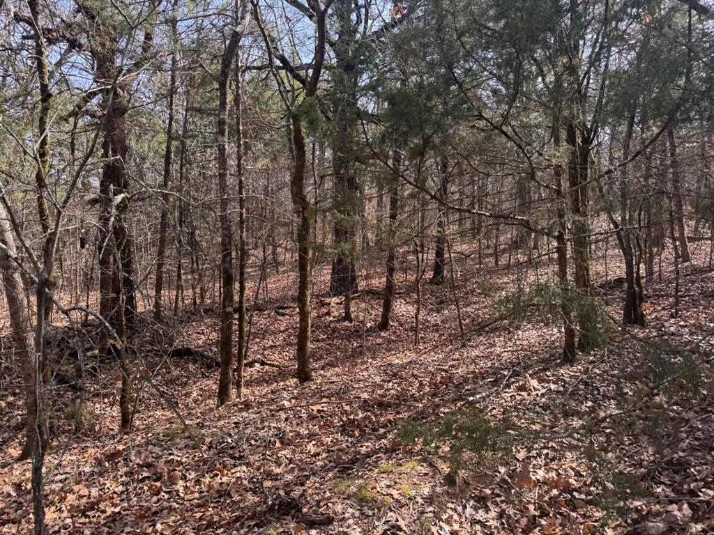 P Davis Surv Abs #335 - Land