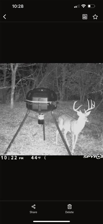 P Davis Surv Abs #335 - Land