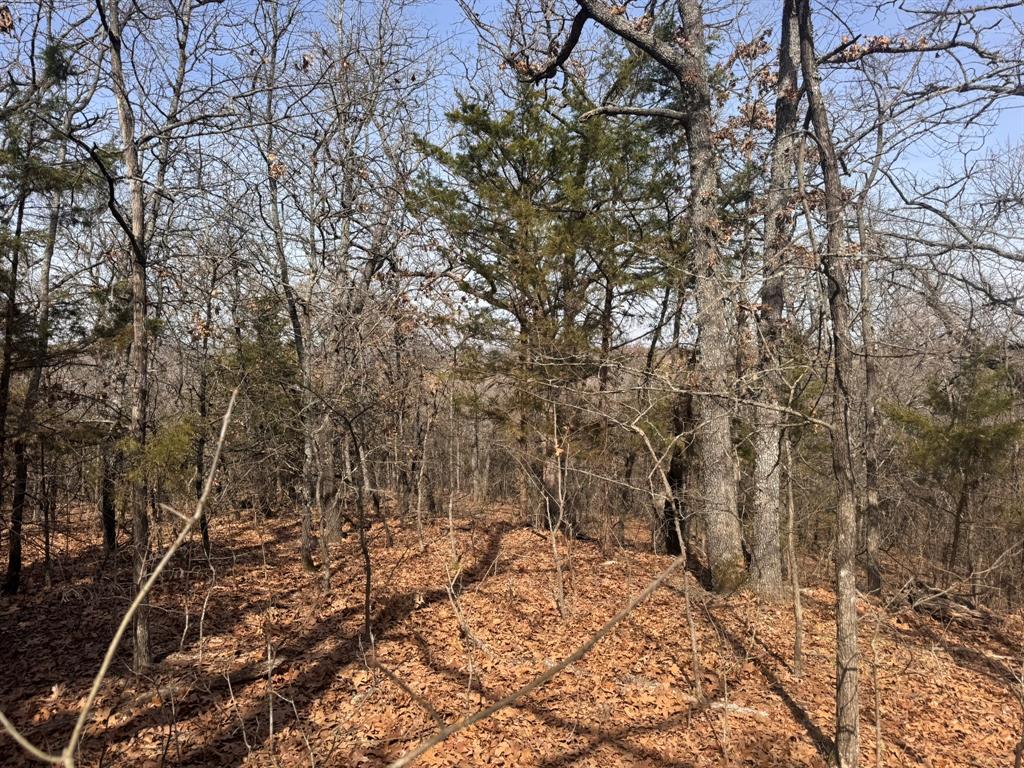 P Davis Surv Abs #335 - Land