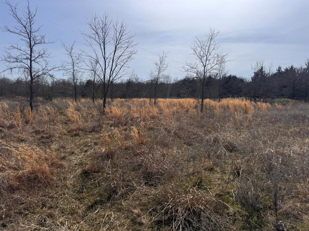 P Davis Surv Abs #335 - Land