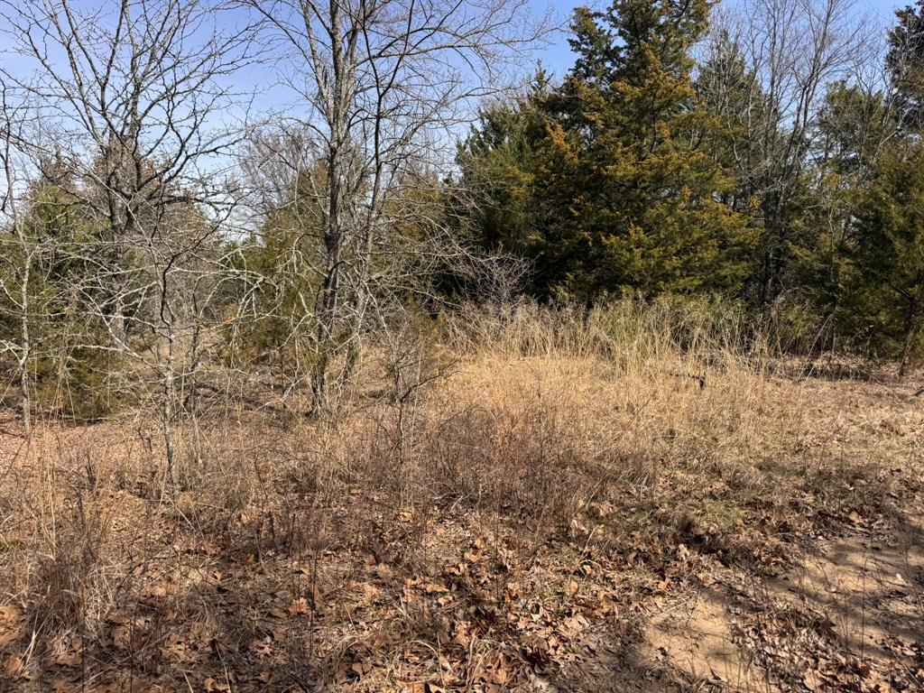 P Davis Surv Abs #335 - Land