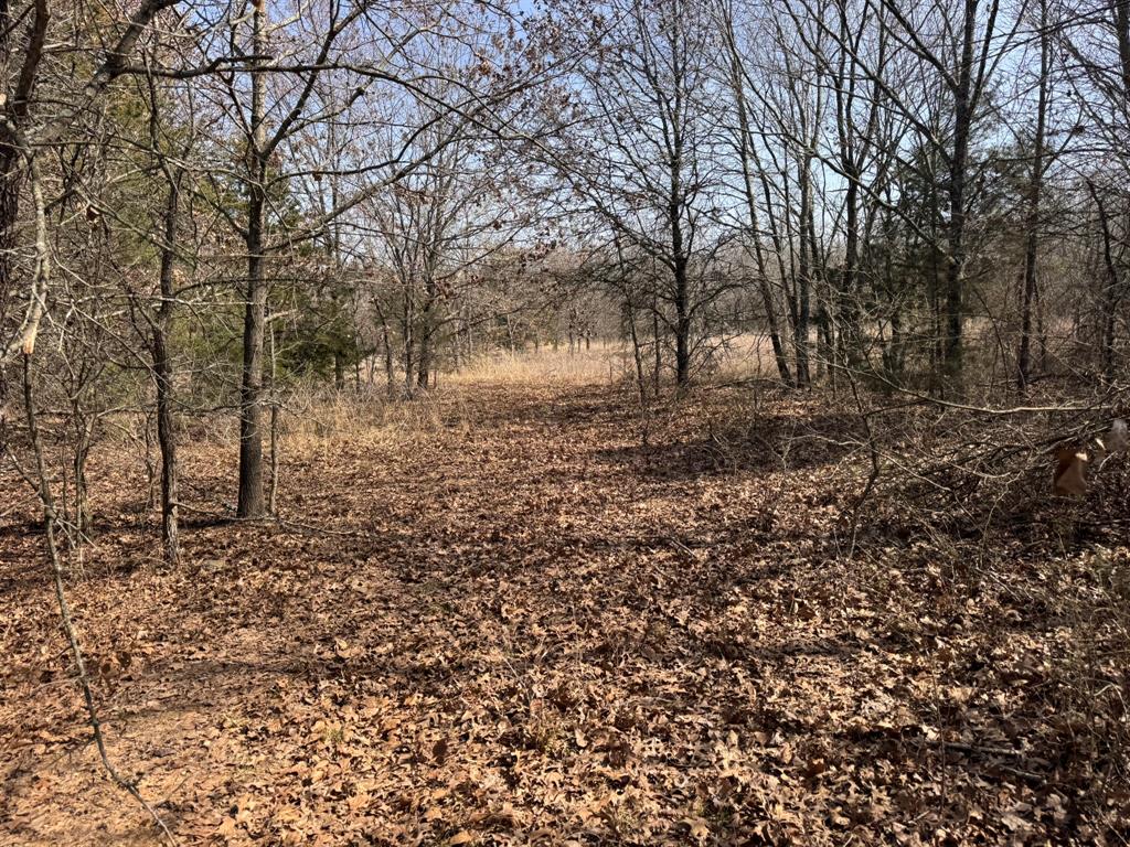 P Davis Surv Abs #335 - Land