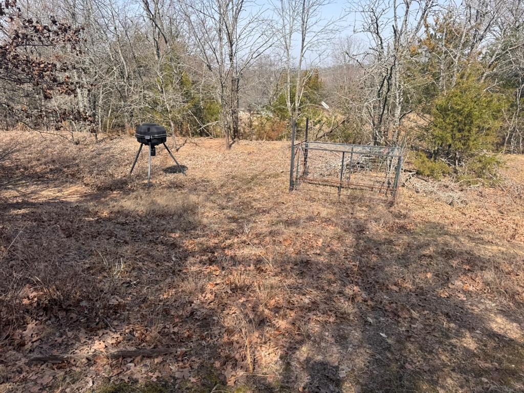 P Davis Surv Abs #335 - Land