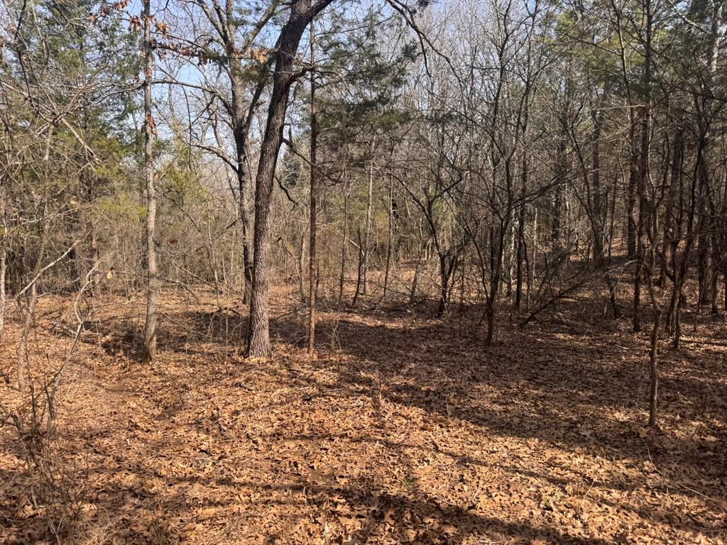 P Davis Surv Abs #335 - Land