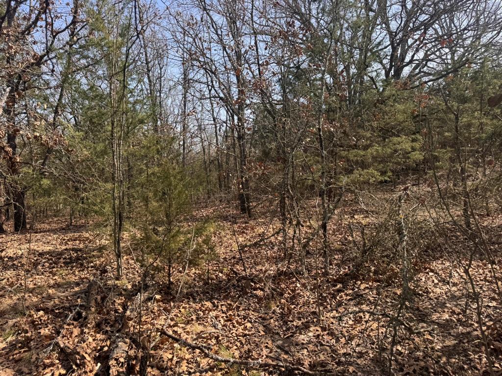 P Davis Surv Abs #335 - Land