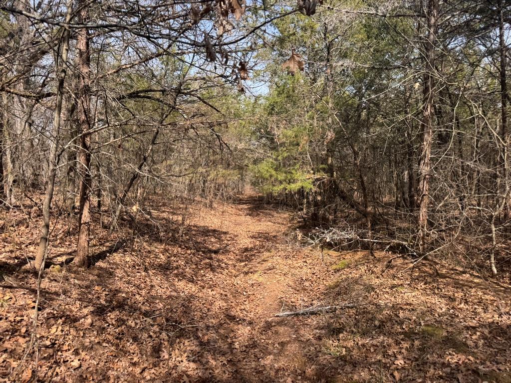 P Davis Surv Abs #335 - Land