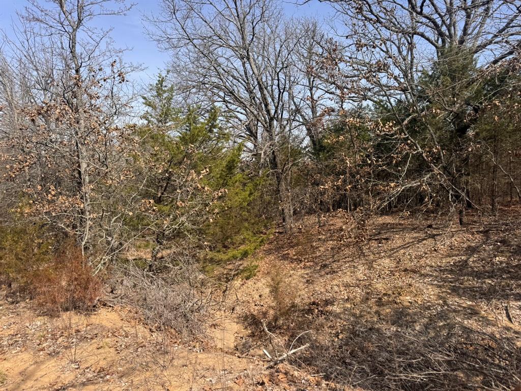 P Davis Surv Abs #335 - Land