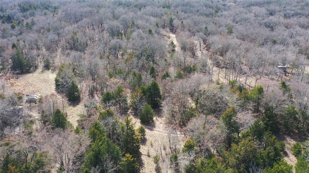 P Davis Surv Abs #335 - Land