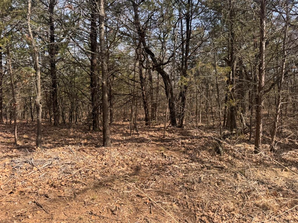 P Davis Surv Abs #335 - Land