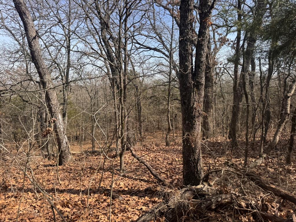 P Davis Surv Abs #335 - Land