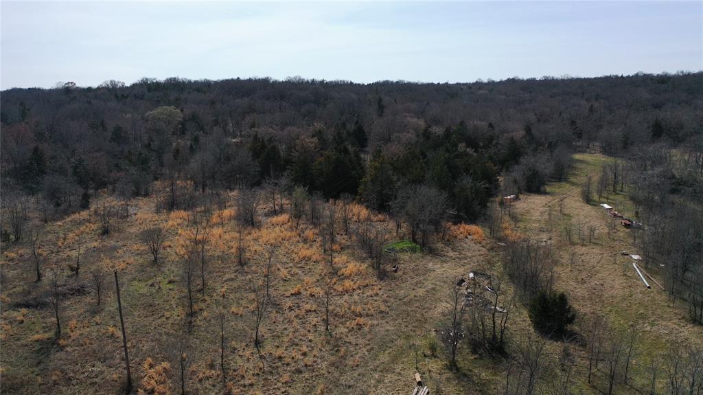 P Davis Surv Abs #335 - Land