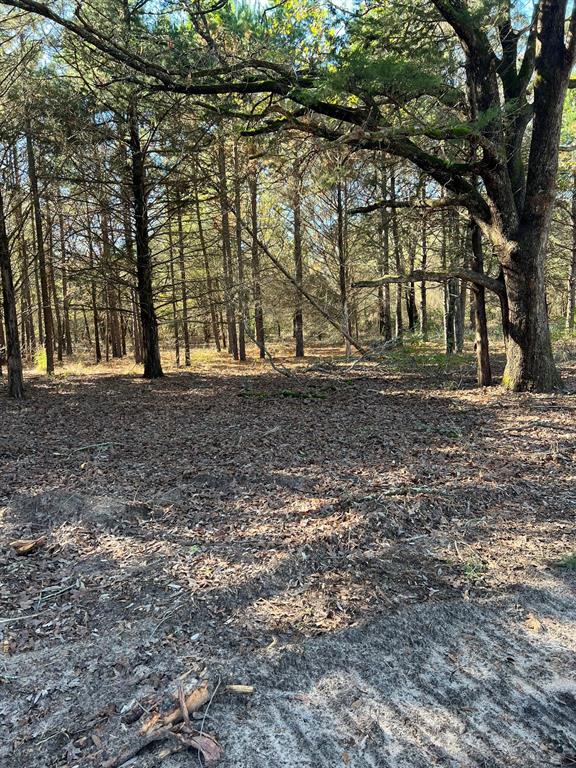 Timber Run Add - Land