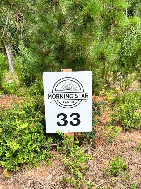 Morning Star Ranch - Land