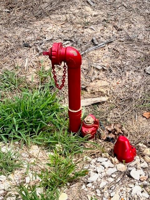 Morning Star Ranch - Land