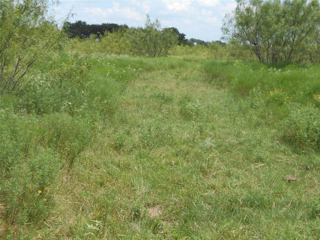 WP BACKSTER AB 70 - Land