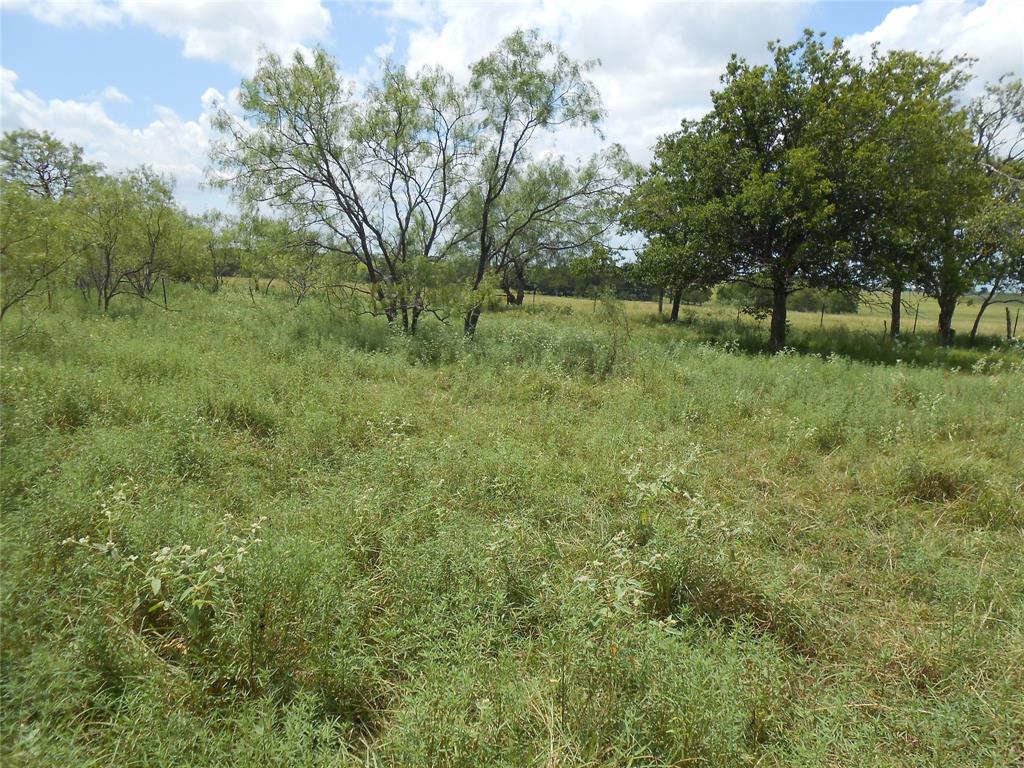 WP BACKSTER AB 70 - Land