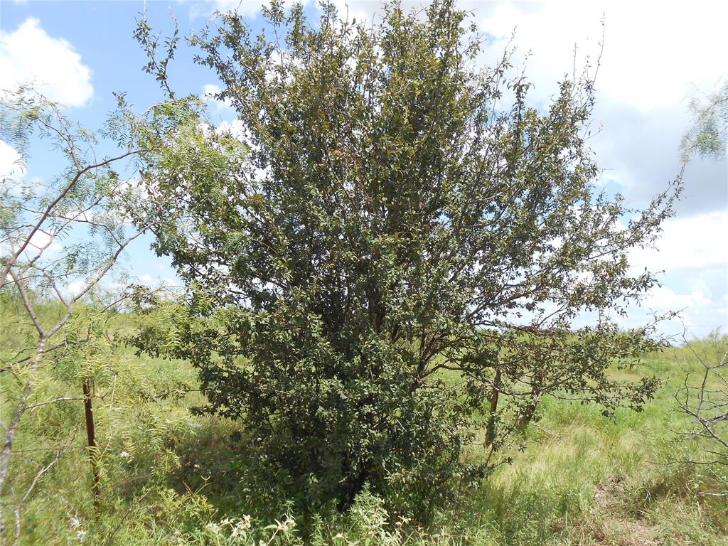 WP BACKSTER AB 70 - Land