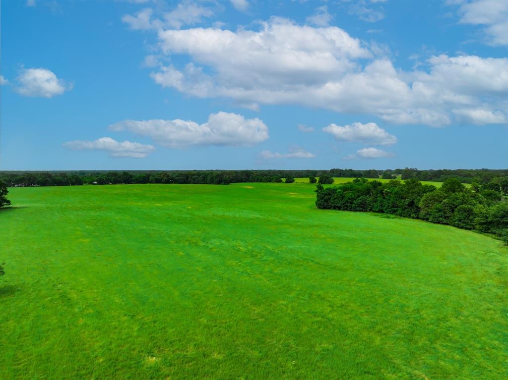 Berry West Surv Abst #620 - Land