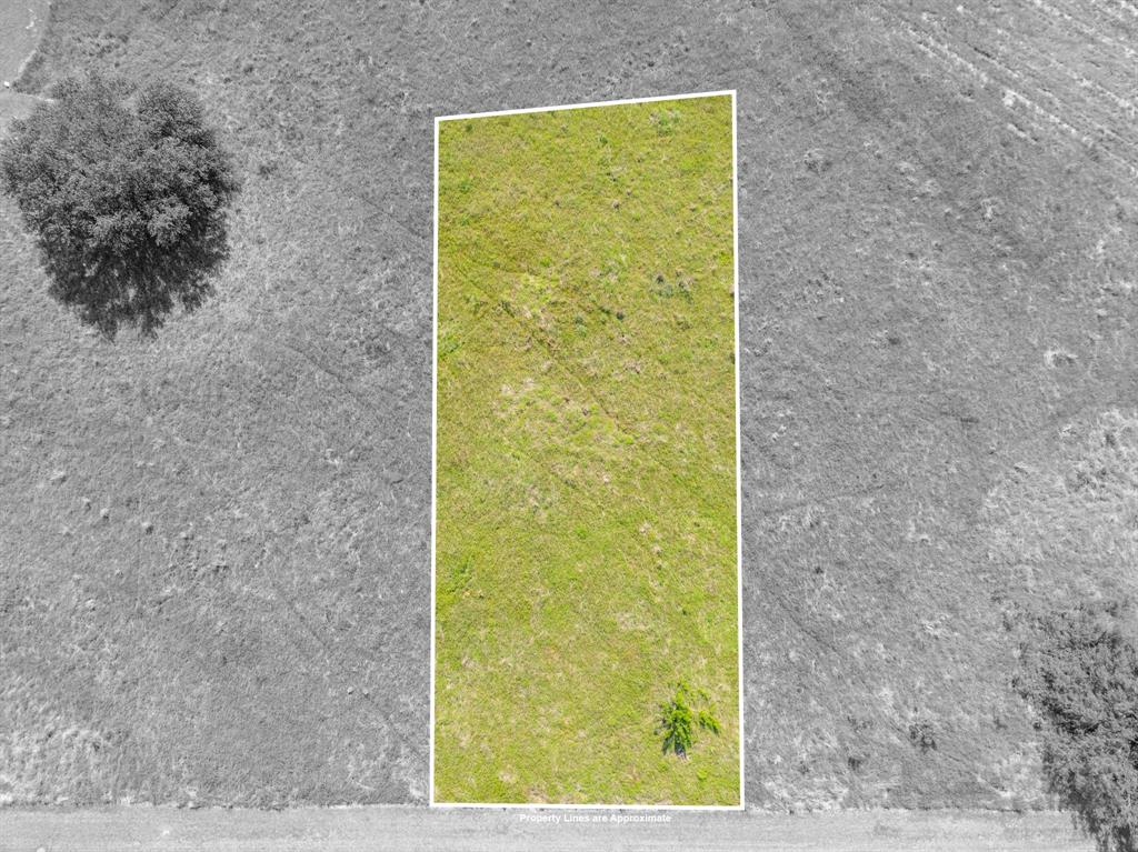 White Bluff #22 - Land