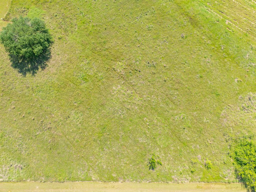 White Bluff #22 - Land