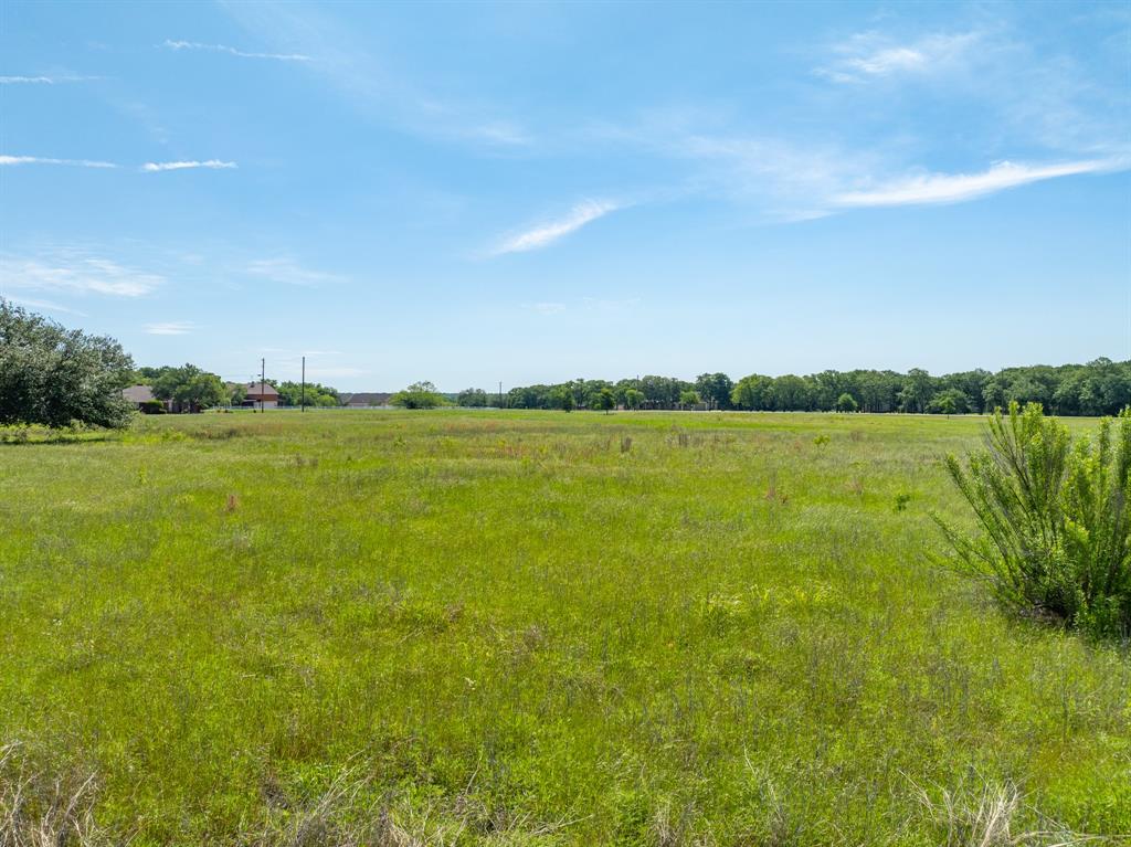 White Bluff #22 - Land