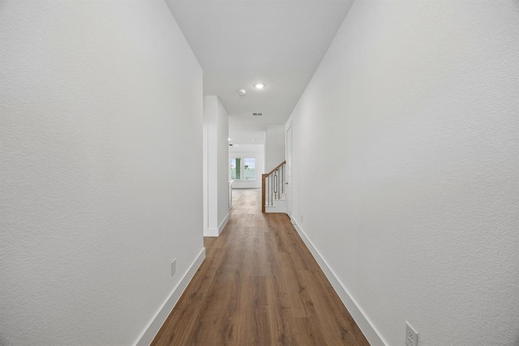 Painted Tree - Residential