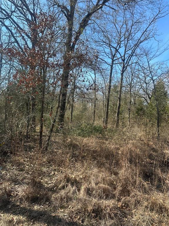 6149 Indian Harbor Drive