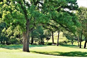 PALISADES ADDITION PHASE 1 - Land