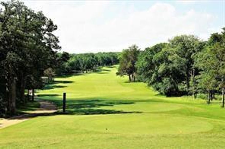 Lot 33 in the Pine Hills Rock Creek Resort area of Gordonville, TX is a beautiful 0.23-acre residential lot located within the Palisades Addition III subdivision. Situated in a gated, master-planned community near Lake Texoma, this unimproved land offers a peaceful setting with mature trees and access to premium resort amenities, including a Jack Nicklaus designed golf course, clubhouse, fitness center, pool, tennis courts, and a private marina. The lot provides excellent flexibility with no required build timeline, making it ideal for a future custom home or investment. Utilities are available in the community, and the HOA maintains the neighborhood’s high standards and security.