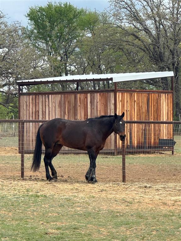 Duffau Creeks Estate - Farm