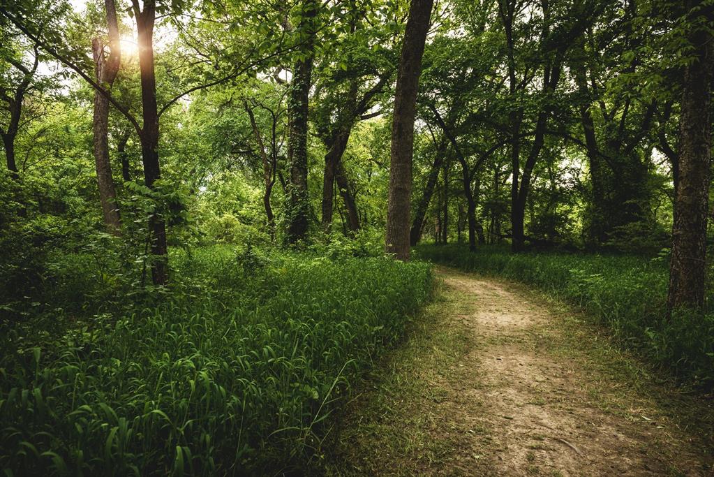 Trinity Falls - Residential