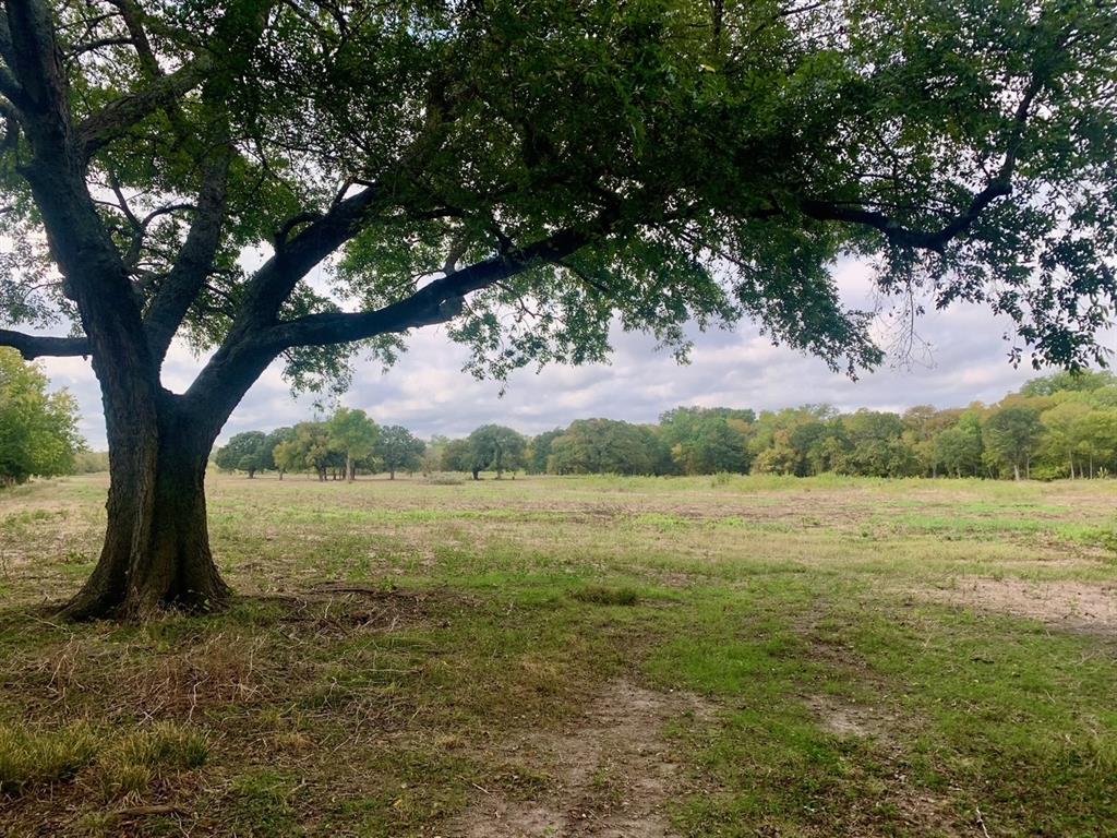 TBD County Road 4410