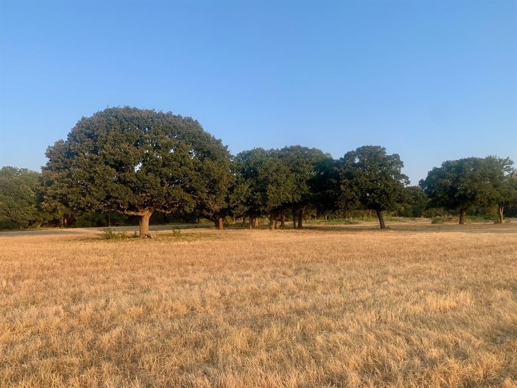 TBD County Road 4410