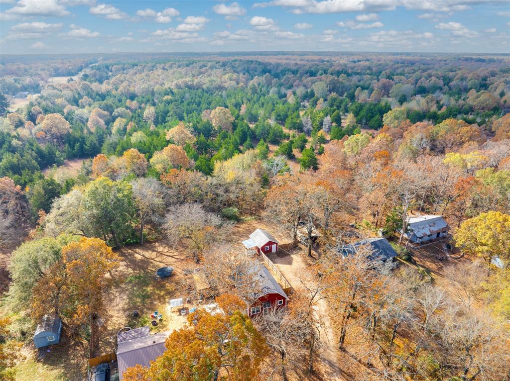 63 County Road 34715