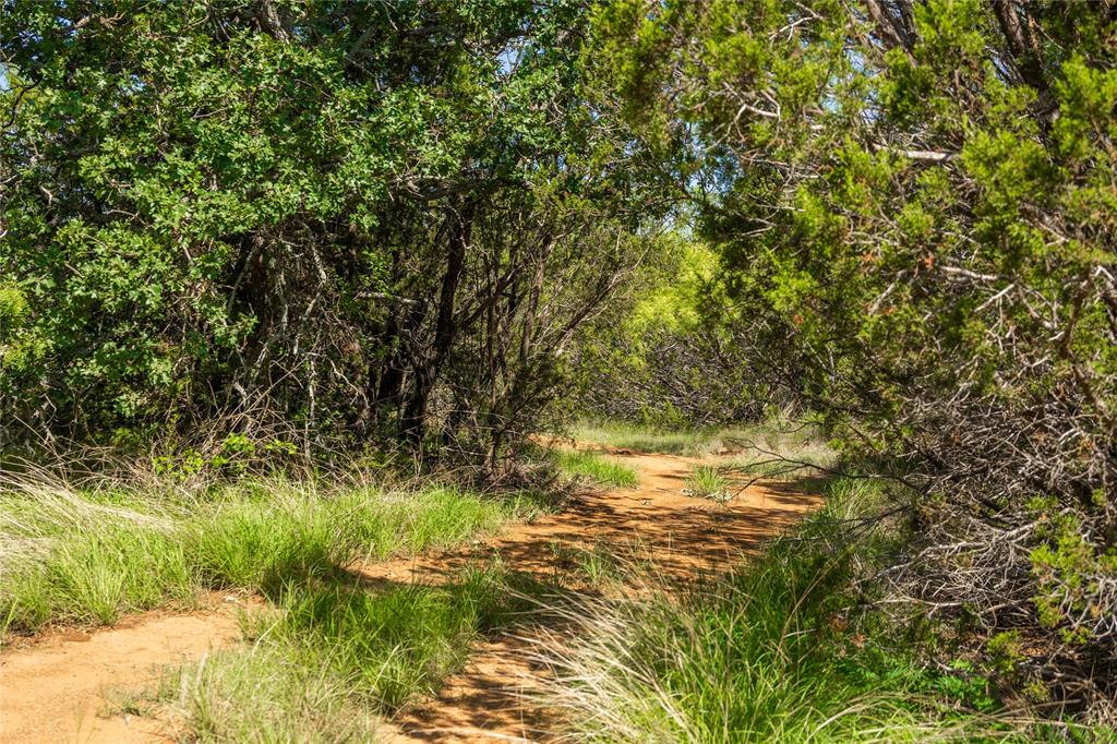 1448 County Road 121