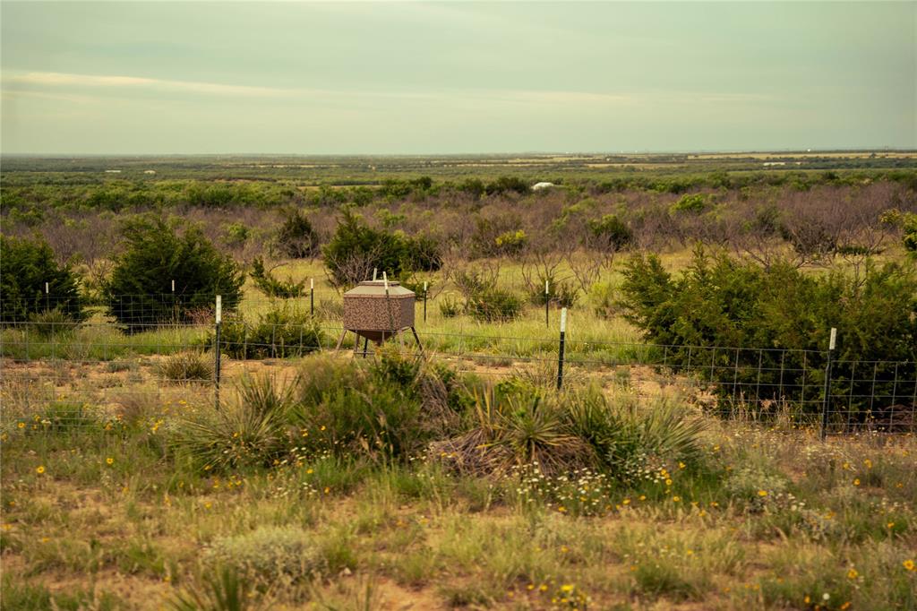 Guadalupe County School - Farm