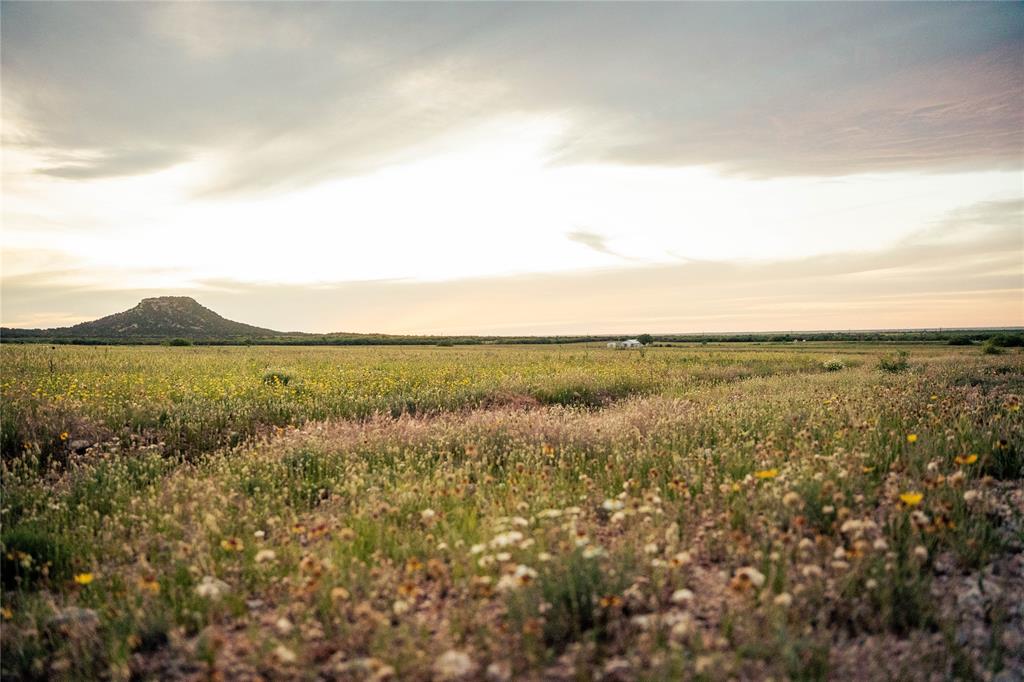 Guadalupe County School - Farm