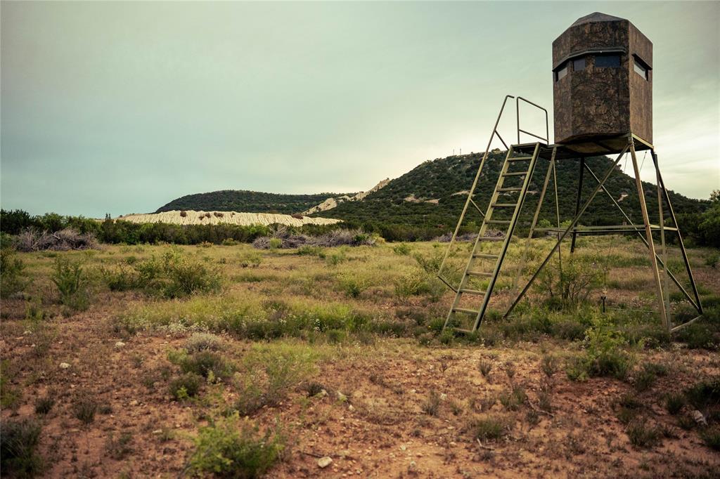 Guadalupe County School - Farm
