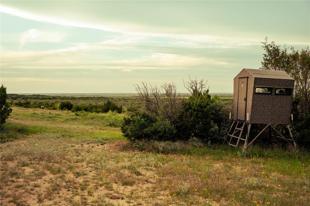 Guadalupe County School - Farm