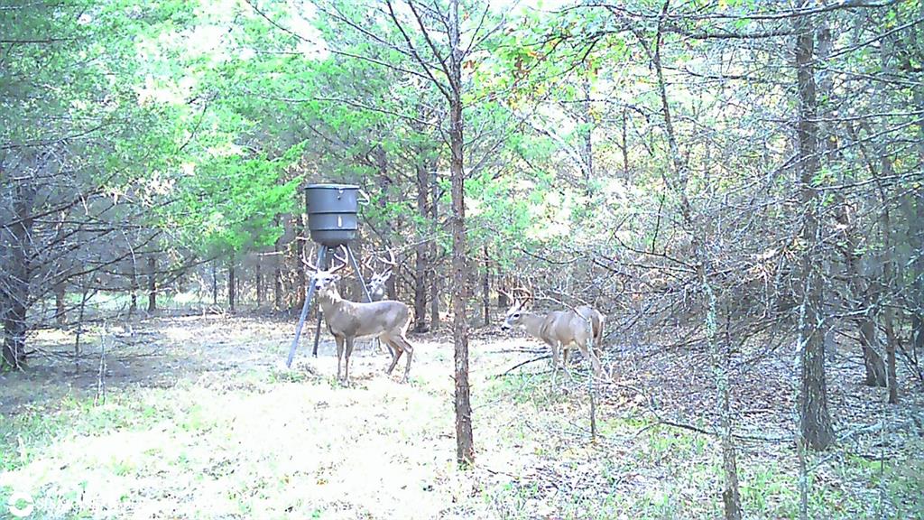 William Darnell - Residential