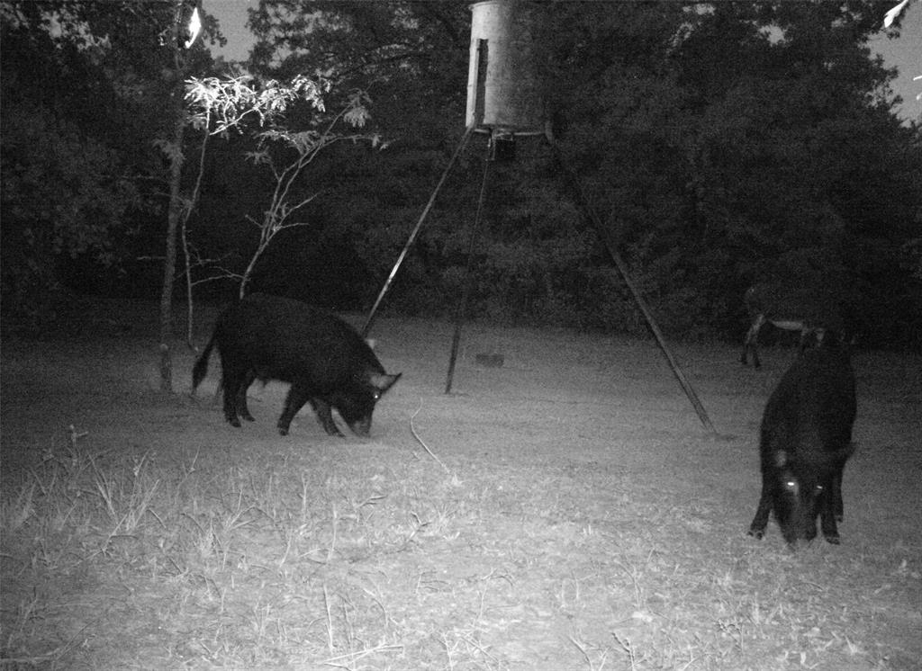 William Darnell - Residential