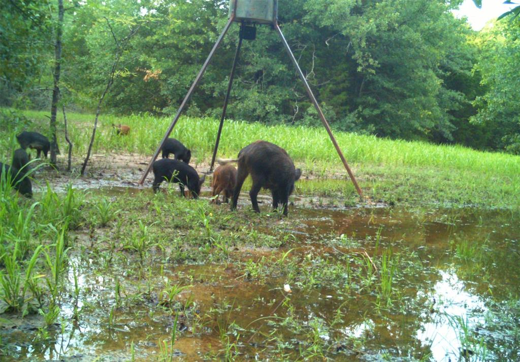 William Darnell - Residential