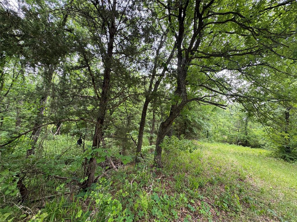 210 County Road 1264