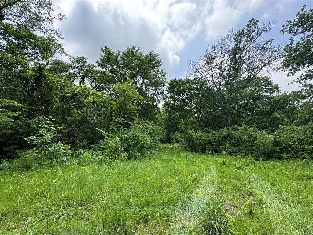 210 County Road 1264
