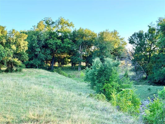 130 COUNTY ROAD 120, GOLDTHWAITE, TX 76844 - Image d19430d53fee03df9cbe71fa0a8a40f4/3908710091