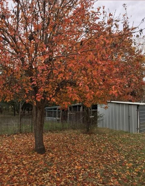 A home in Hico