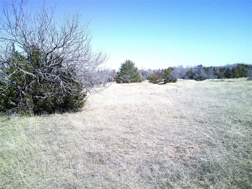 13.43 acres of beautiful land just waiting for that new, special country home. This is the tract of land you have been looking for with thick area of trees and great flat area out front for the new home. The kids and animals will love roaming this country property so hurry on out and pick the tract of land that suits you best. Plat of available lots in pictures. Minimal restrictions like no mobiles, no manufactured homes, site built only but barndo's are fine! Property under ag for low taxes.