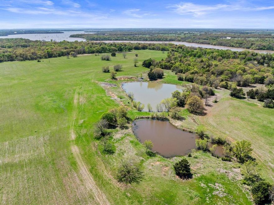 ABSOLUTELY GORGEOUS– you must see this beautiful large acreage tract with mature oaks and three ponds! The property backs to Lake Ray Roberts and boasts over 3,200 feet of Corps of Engineer frontage and over 1,100 feet of frontage on Hog Town Road. Property is ideally situated between Tioga and Collinsville, just one quarter mile West of Highway 377.  The sandy loam soil and coastal bermuda make this property ideal for cattle or horses. Bring your own builder and build your dream home or hold the property as investment while you enjoy the recreational benefits.  Excellent opportunity for an outdoor enthusiast that loves to hunt, fish, or go for evening rides on the ATV. Grayson County Electric is currently being delivered to the property. The city of Collinsville has a water line on Hog Town Road to the East of this property.  The property is fully fenced with a current ag exemption in place. Grayson County development services has verified that the frontage on Hog Town Road is a public right of way, which provides an opportunity for future subdividing. An additional 62 acres is available immediately to the North.  See MLS number 21144225 for listing of entire 124.4 acres.