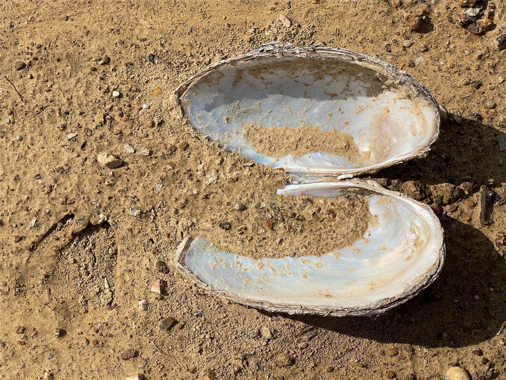 Hidden Shores - Land