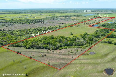 3881 Fm 751 Wills Point TX 75169